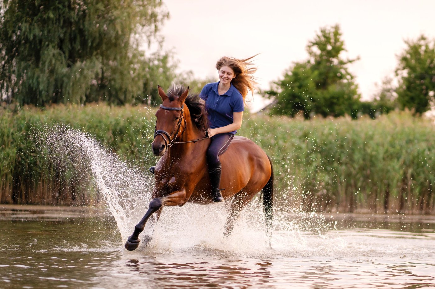 Ein junges Mädchen reitet auf einem Pferd in einem flachen See.