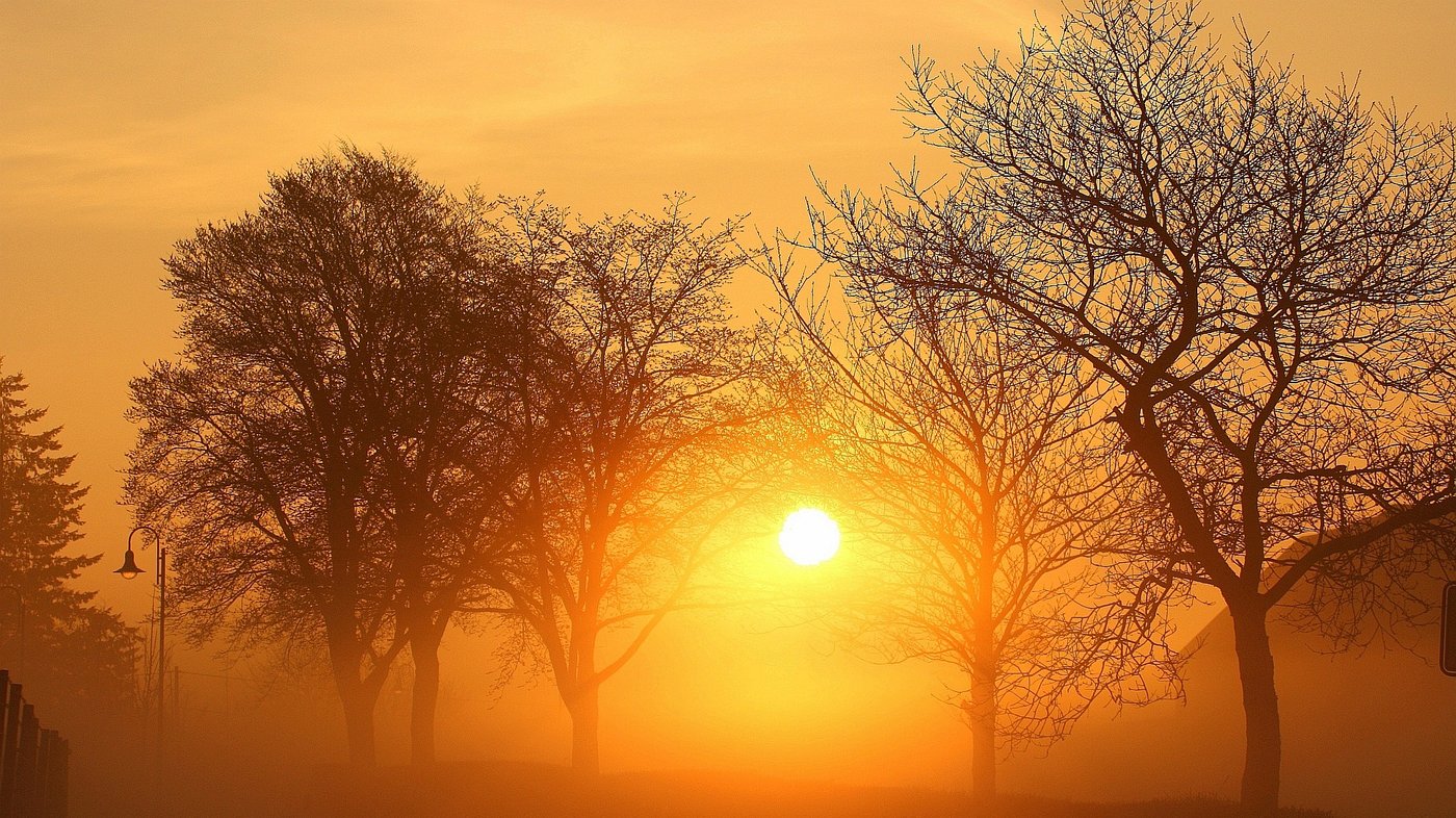 Sonnenaufgang in der Eifel.