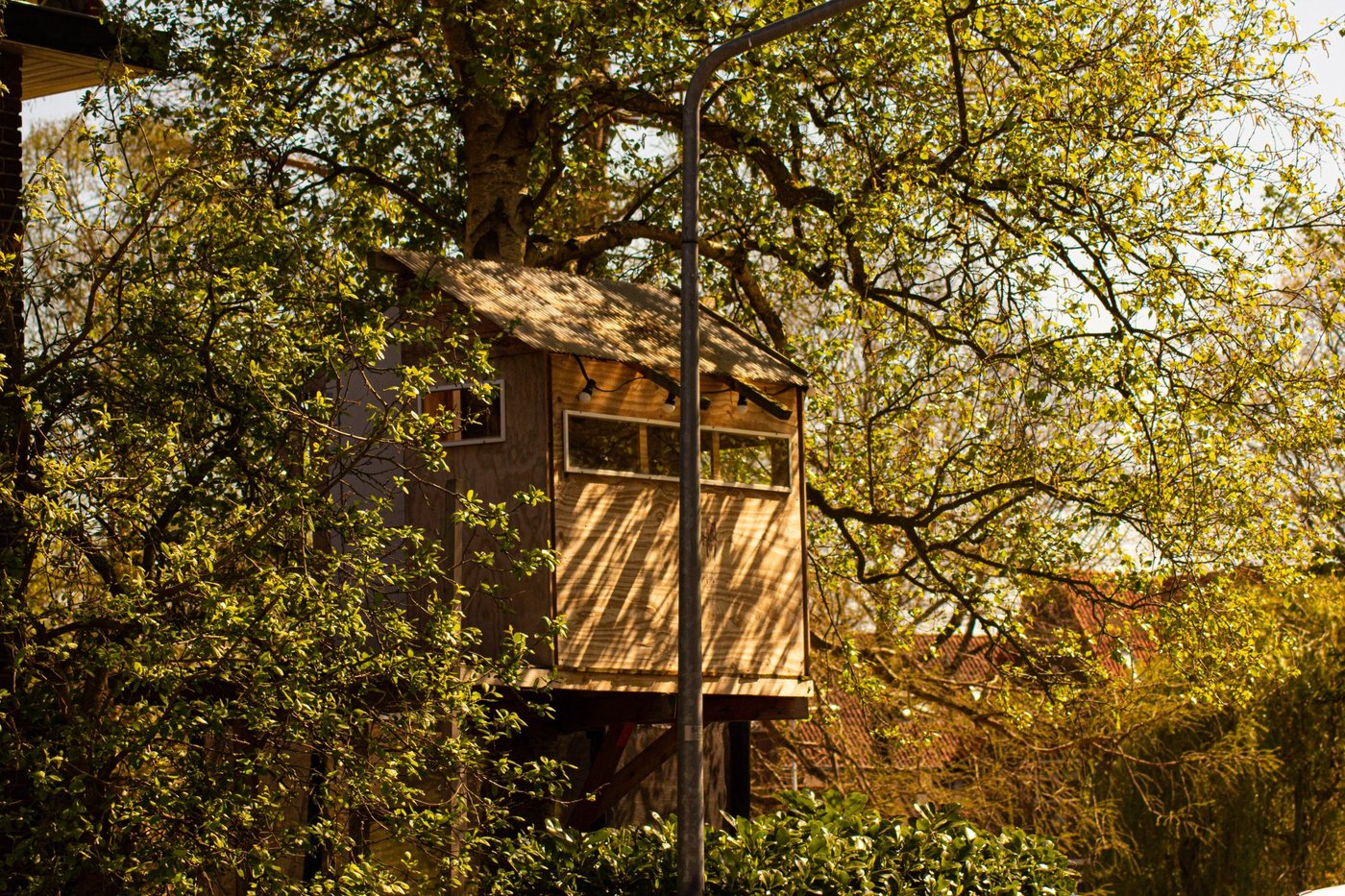 Baumhaus