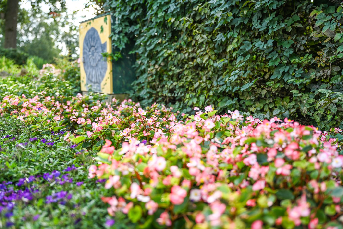 Mit jahreszeitlichen Bepflanzungen erhält jede einzelne Königin der Blumen ihre verdiente Aufmerksamkeit im Rosengarten in Lüdinghausen-Seppenrade.