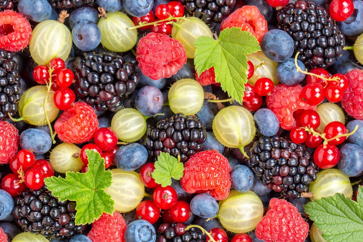 Beerenobst Erdbeeren Erdbeeren Heidelbeeren 