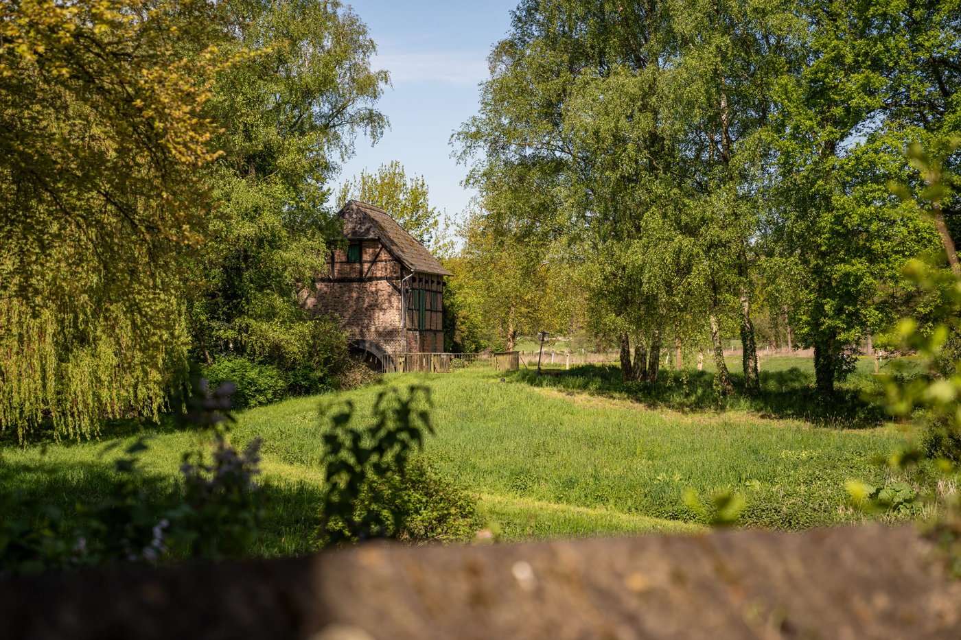 Natur pur in Schermbeck