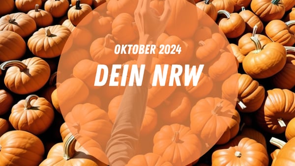 kürbisse während eines herbstevents