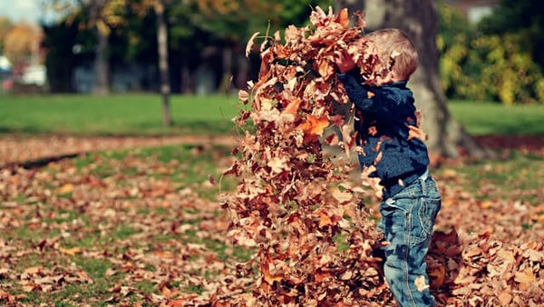 Kind spielt im Herbstlaub