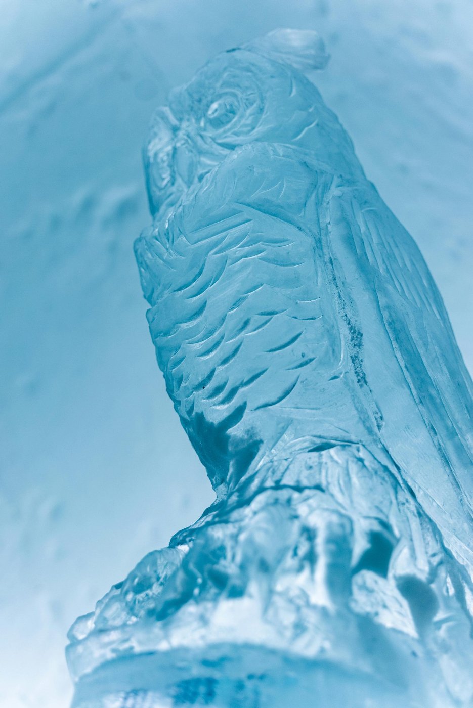 Eisskulptur einer Eule