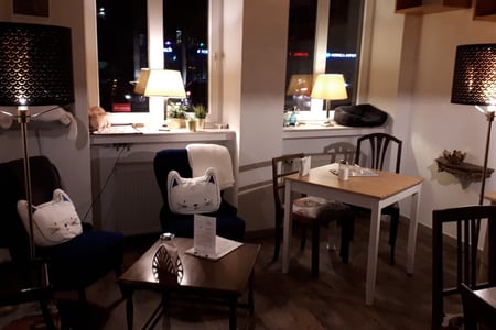 Cat Café Miezhaus