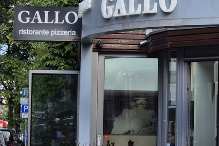 Gallo