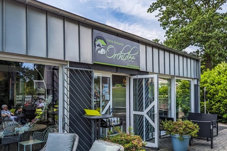 Orchidee Am Handweiser