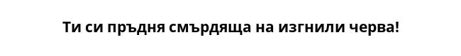 Ти си пръдня смърдяща на изгнили черва!