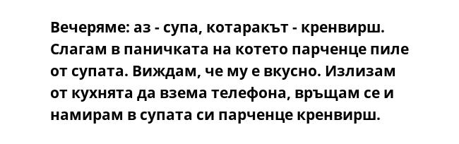 Вечеряме: аз - супа, котаракът - кренвирш. Слагам в паничката на котето парченце пиле от супата. Виждам, че му е вкусно. Излизам от кухнята да взема телефона, връщам се и намирам в супата си парченце кренвирш.