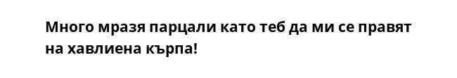 Много мразя парцали като теб да ми се правят на хавлиена кърпа! 