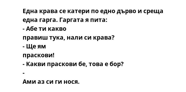 Една крава се катери по едно дърво и среща една гарга. Гаргата я пита: - Абе ти какво правиш тука, нали си крава? - Ще ям праскови! - Какви праскови бе, това е бор? - Ами аз си ги нося.