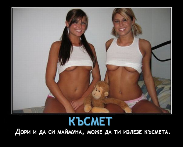Дори и на маймуните им излиза късмета
