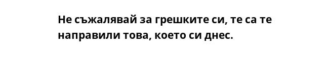 Не съжалявай за грешките си, те са те направили това, което си днес.