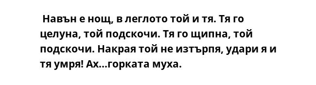  Навън е нощ, в леглото той и тя. Тя го целуна, той подскочи. Тя го щипна, той подскочи. Накрая той не изтърпя, удари я и тя умря! Ах...горката муха.