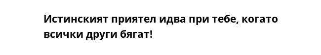 Истинският приятел идва при тебе, когато всички други бягат!