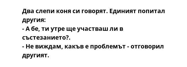 Два слепи коня си говорят. Единият попитал другия:
- А бе, ти утре ще участваш ли в състезанието?.
- Не виждам, какъв е проблемът - отговорил другият.