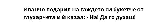 Иванчо подарил на гаждето си букетче от глухарчета и ѝ казал: - На! Да го духаш!