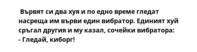  Вървят си два хуя и по едно време гледат насреща им върви един вибратор. Единият хуй сръгал другия и му казал, сочейки вибратора:
- Гледай, киборг!