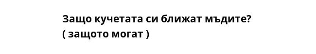 Защо кучетата си ближат мъдите? 
( защото могат )