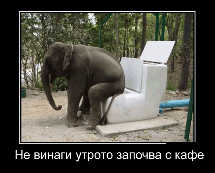 Не винаги сутринта започва със кафе