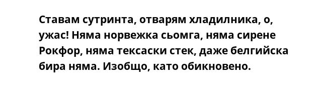 Ставам сутринта, отварям хладилника, о, ужас! Няма норвежка сьомга, няма сирене Рокфор, няма тексаски стек, даже белгийска бира няма. Изобщо, като обикновено.