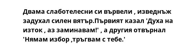 Двама слаботелесни си вървели , изведнъж задухал силен вятър.Първият казал 'Духа на изток , аз заминавам!' , а другия отвърнал 'Нямам избор ,тръгвам с тебе.'