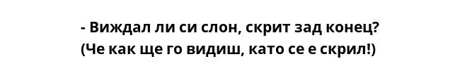 - Виждал ли си слон, скрит зад конец?
(Че как ще го видиш, като се е скрил!)