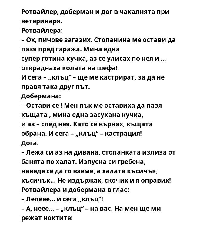 Ротвайлер, доберман и дог в чакалнята при ветеринаря.
Ротвайлера:
– Ох, пичове загазих. Стопанина ме остави да пазя пред гаража. Мина една
супер готина кучка, аз се улисах по нея и … откраднаха колата на шефа!
И сега – „клъц“