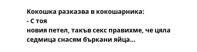 Kокошка разказва в кокошарника: - С тоя новия петел, такъв секс правихме, че цяла седмица снасям бъркани яйца...