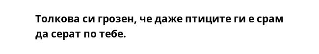 Толкова си грозен, че даже птиците ги е срам да серат по тебе. 