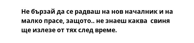 Не бързай да се радваш на нов началник и на малко прасе, защото.. не знаеш каква  свиня ще излезе от тях след време.