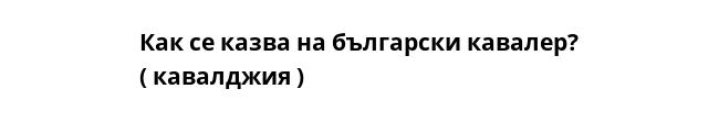 Как се казва на български кавалер?
( кавалджия )