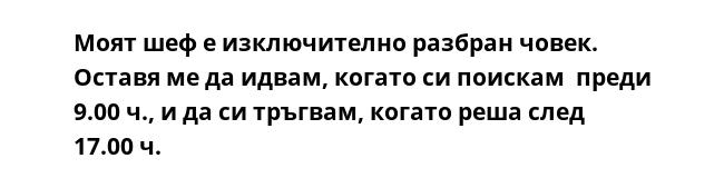 Моят шеф е изключително разбран човек. Оставя ме да идвам, когато си поискам  преди 9.00 ч., и да си тръгвам, когато реша след 17.00 ч.