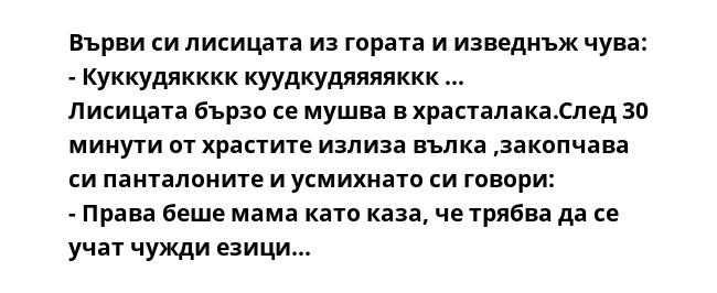 Върви си лисицата из гората и изведнъж чува:
- Куккудякккк куудкудяяяяккк ...
Лисицата бързо се мушва в храсталака.След 30 минути от храстите излиза вълка ,закопчава си панталоните и усмихнато си говори:
- Права беше мама