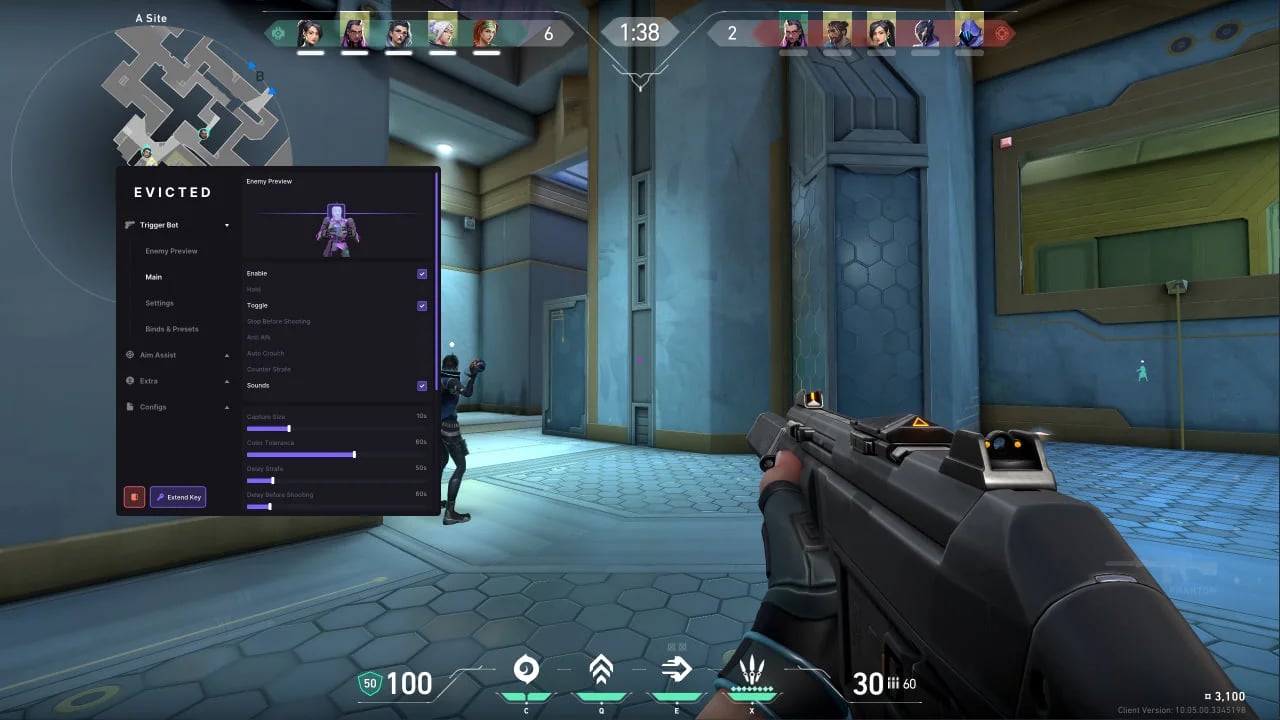 Valorant Trigger Bot
