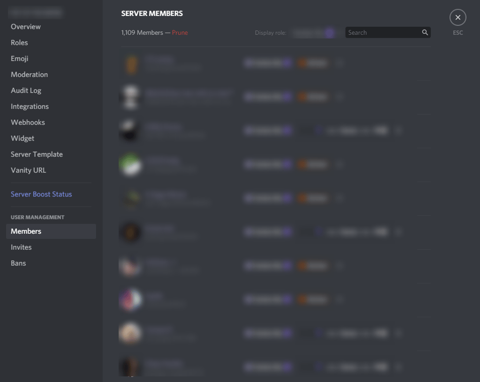 Discord Members Boost