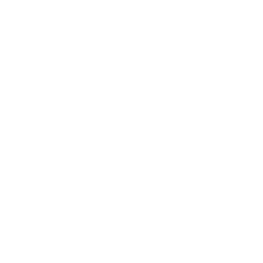 A1 SERVICES