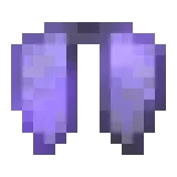 DonutSMP Elytras