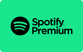 Spotify Premium (3 months)