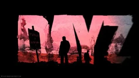 Dayz黑号