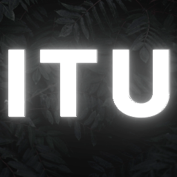 Itu market