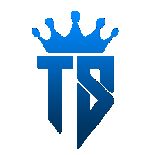 Tays Services
