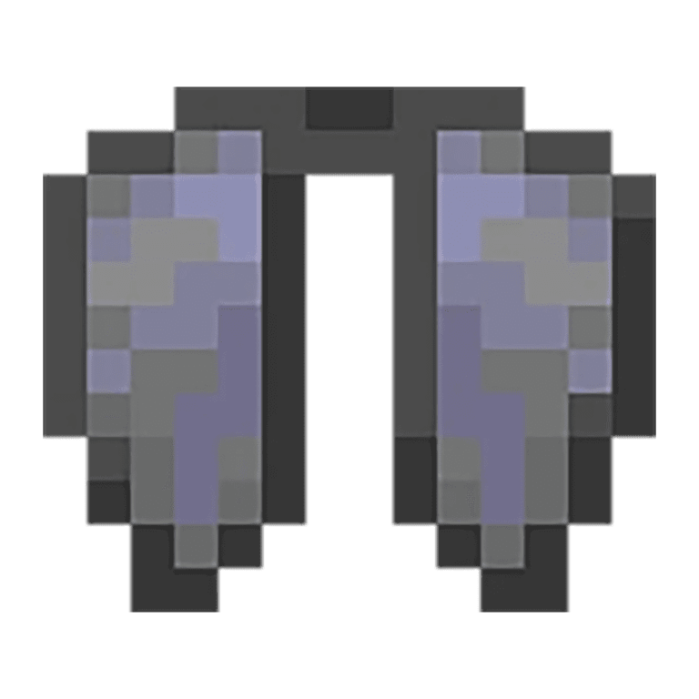 Elytra