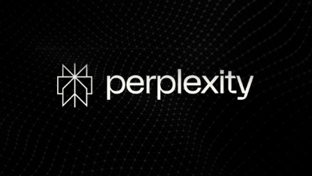 Perplexity