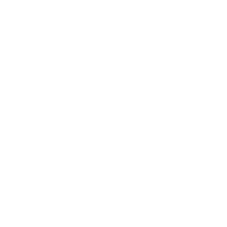 ArcStore