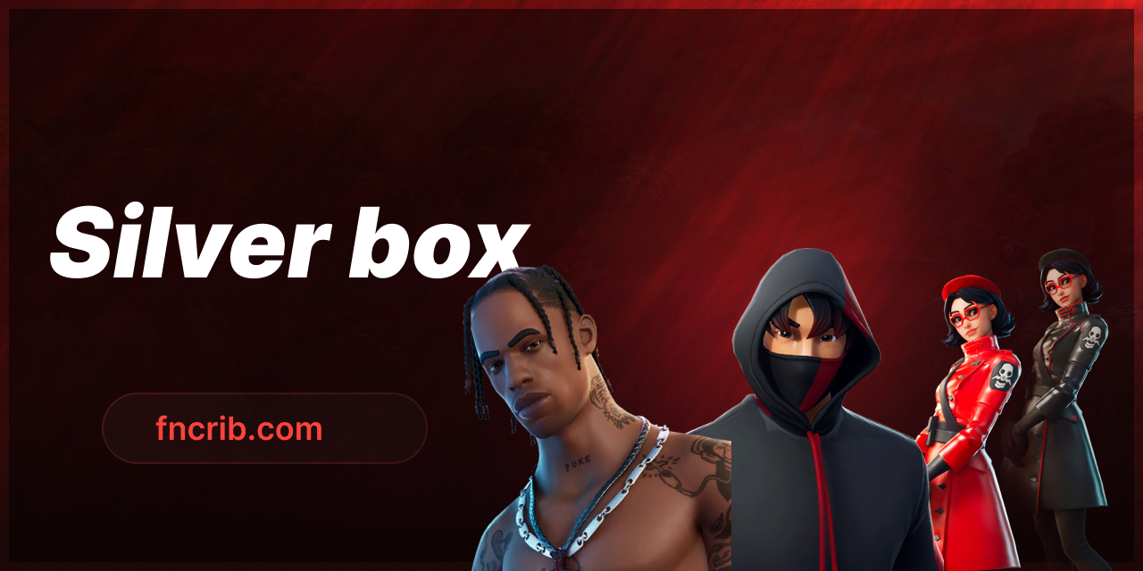 Silver Mystery box (Exclusives hidden)