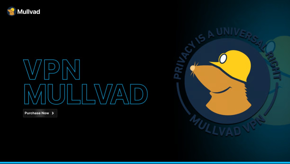 Mullvad VPN BEST VPN
