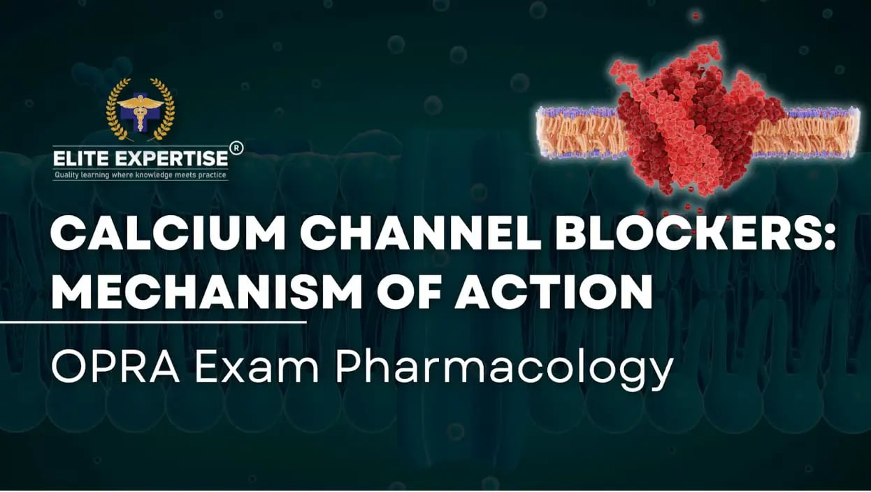 Calcium Channel Blockers (CCBs) for OPRA Exam Guide | Elite Expertise