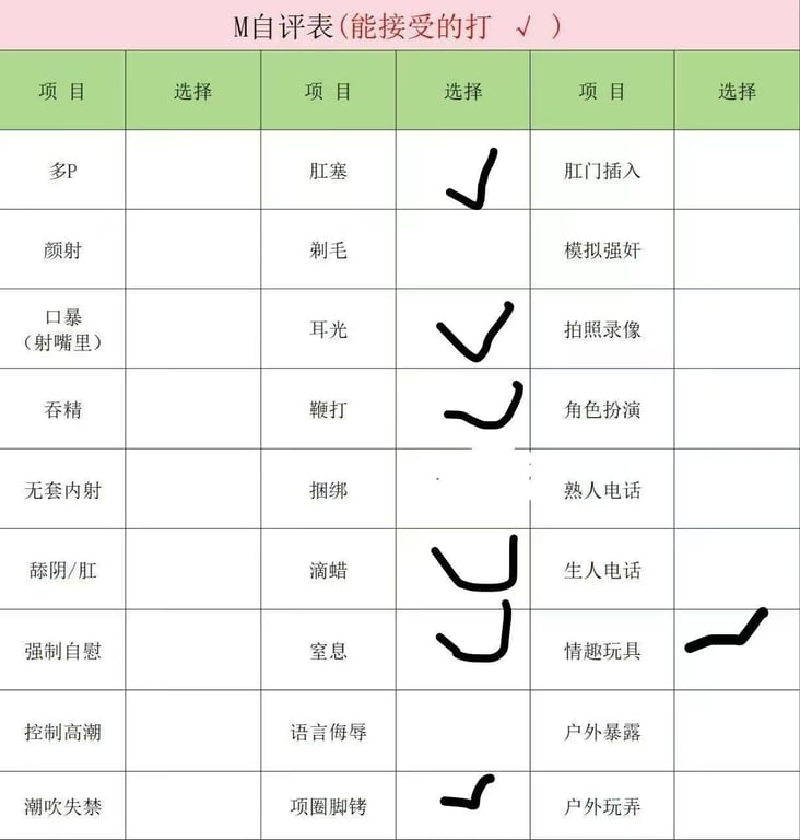 朴朴村长197